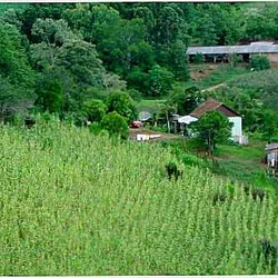 Bandeirante - SC - Cidade atendida pela Staka Estruturas com pré-moldados de qualidade