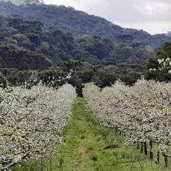 Macieira - SC - Cidade atendida pela Staka Estruturas com pré-moldados de qualidade