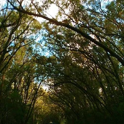 Pinhal - RS - Cidade atendida pela Staka Estruturas com pré-moldados de qualidade